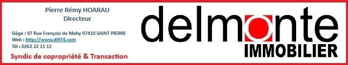 logo agence immobilière DELMONTE IMMOBILIER Réunion