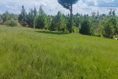 Achat Terrain ANTANANARIVO () - MADAGASCAR