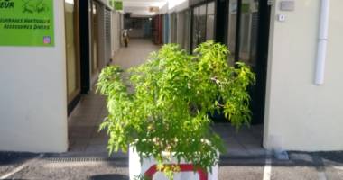 local commercial saint gilles les bains centre