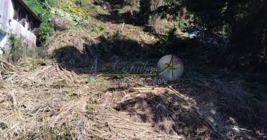 environnement calme et verdoyant - quartier résidentiel - proche des commodités