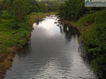 Achat Terrain Petit Bourg (97170) - GUADELOUPE