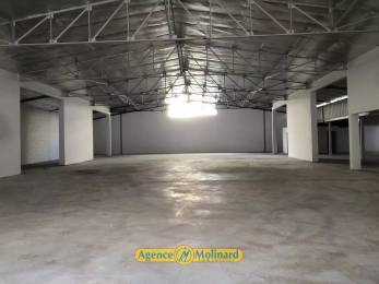 Location  Local commercial Pointe à Pitre (97110) - GUADELOUPE