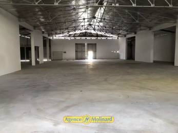 Location  Local commercial Pointe à Pitre (97110) - GUADELOUPE