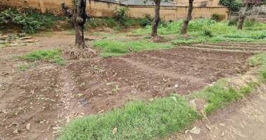 a vendre beau terrain de 2000 m2 morcelable à ivato