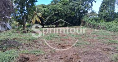 capesterre terrain 2763 m2 'fond cacao'