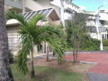 Location Appartement Le Gosier (97190) - GUADELOUPE