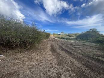 Achat Terrain à Batir Sainte-Anne (97180) - GUADELOUPE