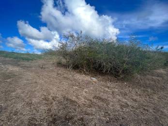 Achat Terrain à Batir Sainte-Anne (97180) - GUADELOUPE