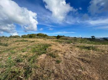 Achat Terrain à Batir Sainte-Anne (97180) - GUADELOUPE