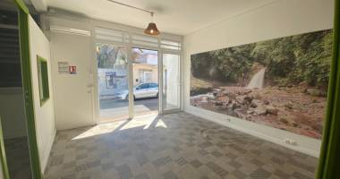 À basse-terre, de 44.688m2 à louer 700 € par mois