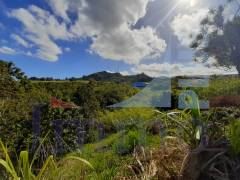 achat terrain à piton saint-leu (97424)