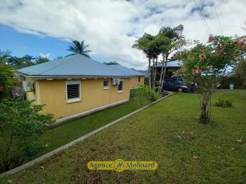 Achat Maison Sainte-Rose (97115) - GUADELOUPE