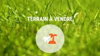 achat terrain à tampon (97430)