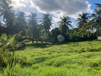 Achat Terrain Morne à l'eau (97111) - GUADELOUPE