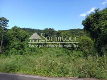 Achat Terrain Vieux Habitants (97119) - GUADELOUPE