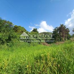 Achat Terrain Vieux Habitants (97119) - GUADELOUPE