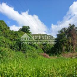 Achat Terrain Vieux Habitants (97119) - GUADELOUPE