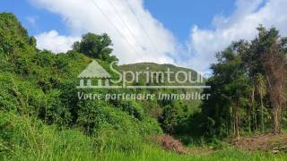 achat terrain à vieux habitants (97119)