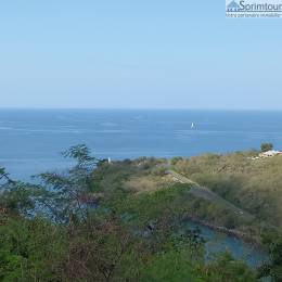 Achat Terrain Vieux Habitants (97119) - GUADELOUPE