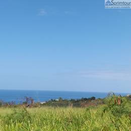 Achat Terrain Vieux Habitants (97119) - GUADELOUPE