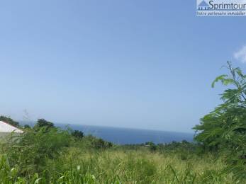 Achat Terrain Vieux Habitants (97119) - GUADELOUPE