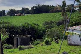 achat terrain à sainte-suzanne (97441)