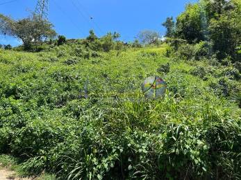 Achat Terrain Les Abymes (97139) - GUADELOUPE