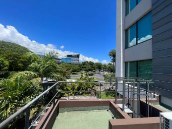 Location  Bureaux Sainte-Clotilde (97490) - REUNION