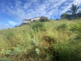 Achat Terrain Saint-Paul (97460) - REUNION