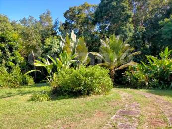 Achat terrain Petit Bourg (97170) - GUADELOUPE