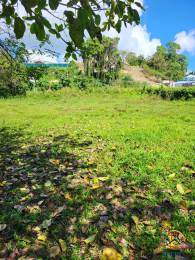 Achat terrain Les Abymes (97139) - GUADELOUPE