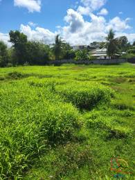 Achat terrain Les Abymes (97139) - GUADELOUPE