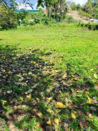 Achat terrain Les Abymes (97139) - GUADELOUPE