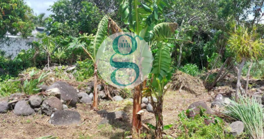 terrain 1125m2 st andre ville