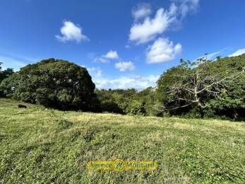 Achat Terrain Le Gosier (97190) - GUADELOUPE