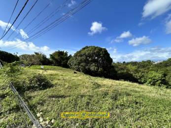 Achat Terrain Le Gosier (97190) - GUADELOUPE