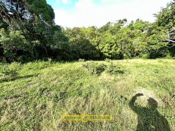 Achat Terrain Le Gosier (97190) - GUADELOUPE