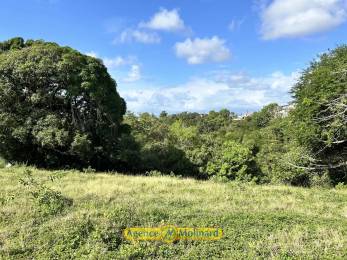 Achat Terrain Le Gosier (97190) - GUADELOUPE