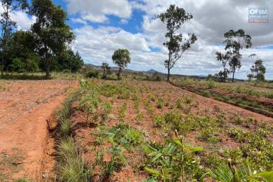 Achat Terrain ANTANANARIVO () - MADAGASCAR