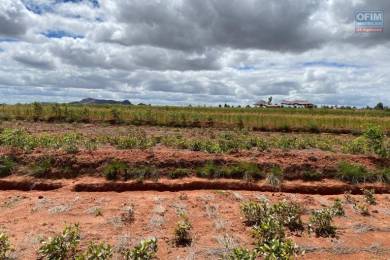 Achat Terrain ANTANANARIVO () - MADAGASCAR