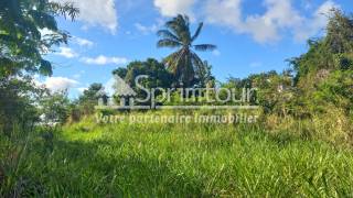 achat terrain à vieux habitants (97119)