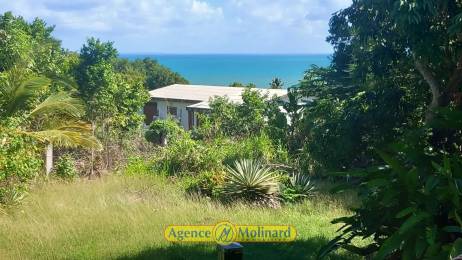 Achat Maison Sainte-Rose (97115) - GUADELOUPE