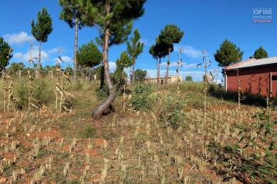 Achat Terrain ANTANANARIVO () - MADAGASCAR