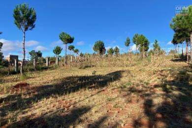 Achat Terrain ANTANANARIVO () - MADAGASCAR