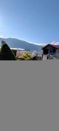 Achat Maison Plaine des Palmistes (97431) - REUNION