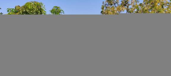 Achat Maison Saint-Louis (97450) - REUNION