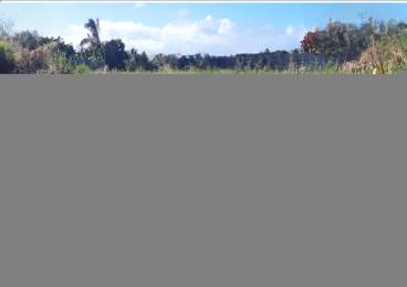 Achat Terrain Saint-André (97440) - REUNION