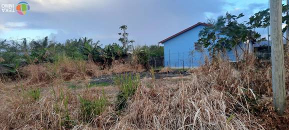 Location  Maison Saint-André (97440) - REUNION