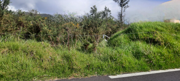 Achat Terrain Tampon (97430) - REUNION