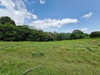 Achat Terrain Petit Bourg (97170) - GUADELOUPE